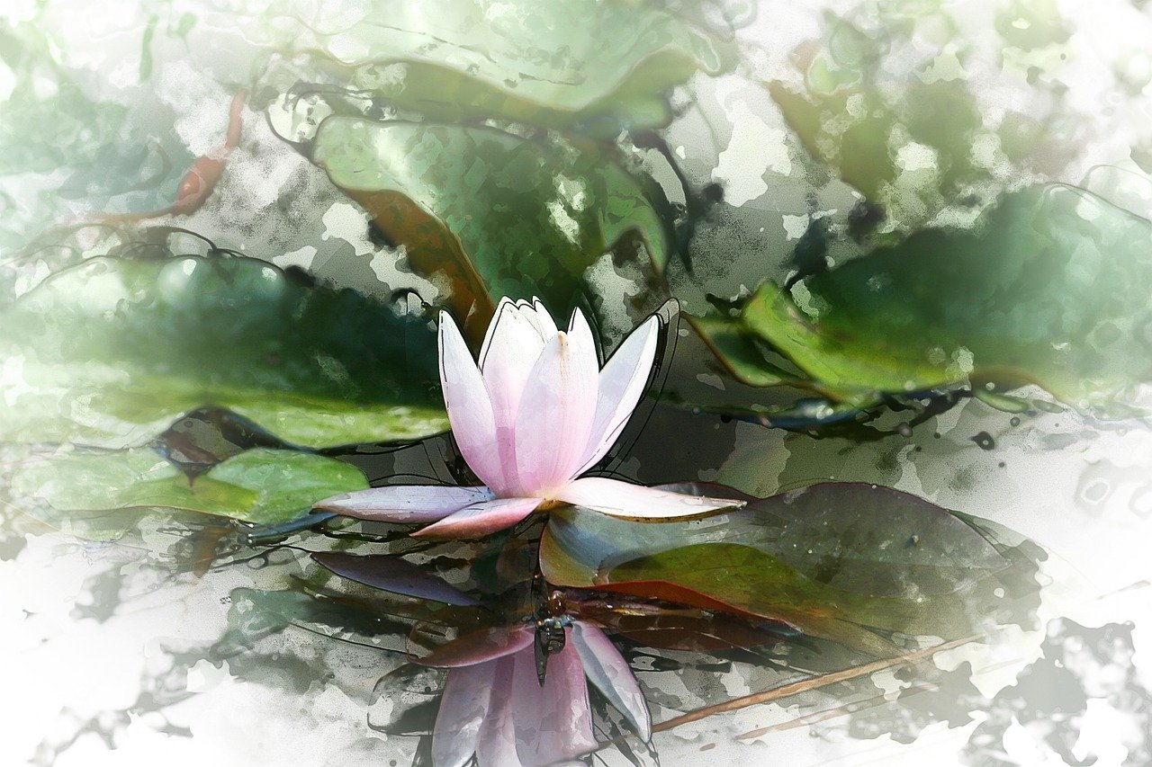 盛夏采薇新作品揭秘，自然与艺术的交融之美探索