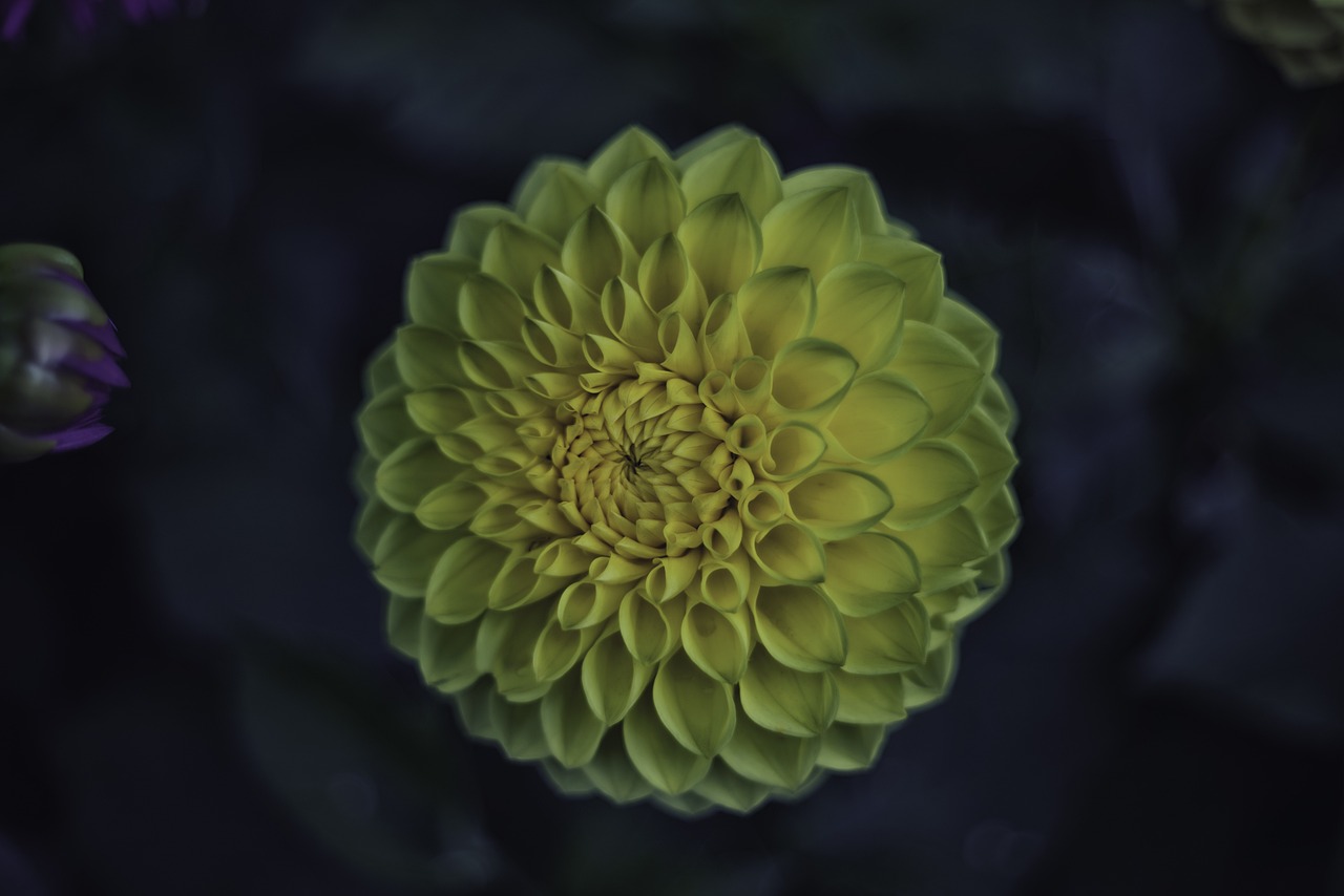 长安瑾 第18页